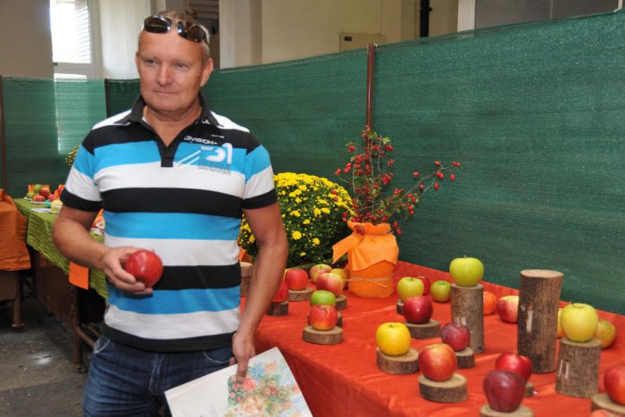 Ilustračný obrázok k článku Najkrajšie jablko v Novohrade vypestoval Ivan z Rapoviec: Lučenský Grunt mal ale aj ďalšie naj, FOTO