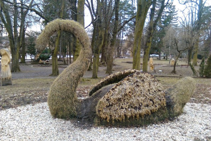 Ilustračný obrázok k článku FOTO: Zelenú labuť v parku potrápila zima. Lučenčanom chýba jej krása