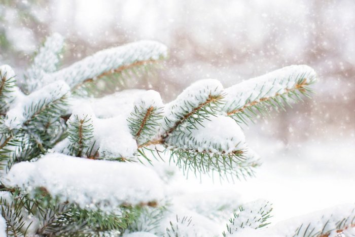 Ilustračný obrázok k článku Ako bude na Vianoce? Snehová predpoveď na celé Slovensko